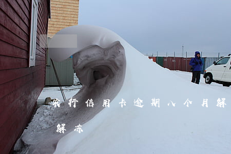 农行信用卡逾期八个月解冻(农行信用卡2天解冻)