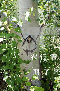 农行信用卡逾期回到家要(农业银行信用卡逾期了,还不上怎么办)