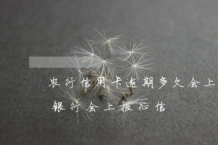 农行信用卡逾期多久会上征信中心(逾期多久银行会上报征信)
