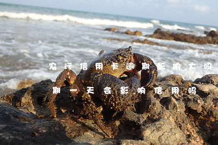农行信用卡逾期影响大吗(农业银行信用卡逾期一天会影响信用吗)