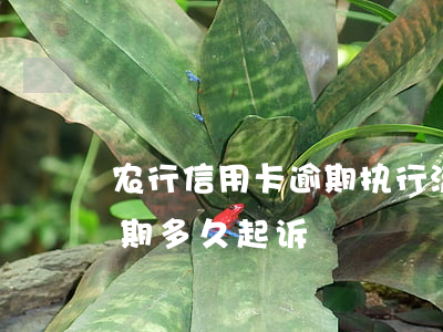 农行信用卡逾期执行流程(农商银行信用卡逾期多久起诉)