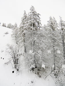 农行信用卡逾期被起诉找哪里协商-被农行信用卡逾期起诉就没办法协商了吗