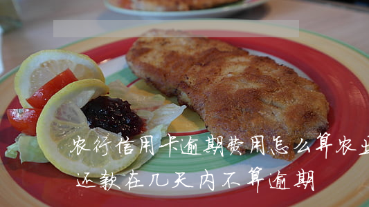 农行信用卡逾期费用怎么算(农业银行信用币还款在几天内不算逾期)