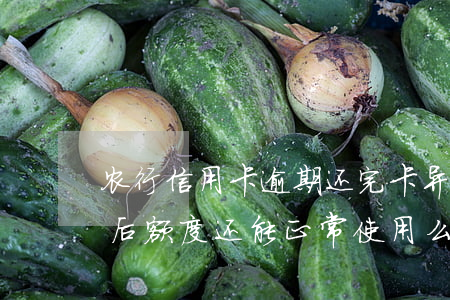 农行信用卡逾期还完卡异常(农行逾期还款之后额度还能正常使用么)