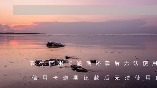 农行信用卡逾期还款后无法使用怎么办，农行信用卡逾期还款后无法使用的解决办法