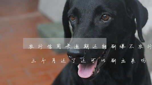 农行信用卡逾期还能刷爆不(农行信用卡逾期三个月还了还可以刷出来吗)