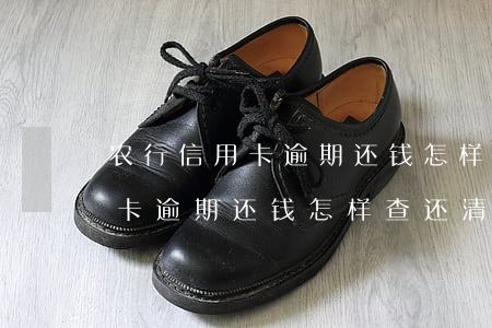 农行信用卡逾期还钱怎样查还清-农行信用卡逾期还钱怎样查还清记录