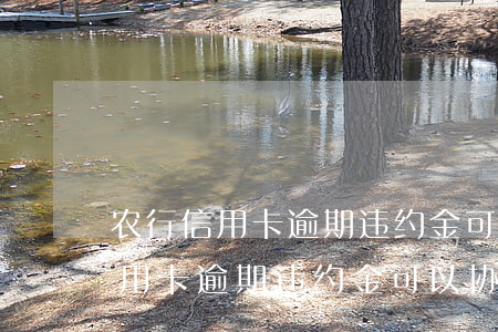 农行信用卡逾期违约金可以协商吗-农行信用卡逾期违约金可以协商吗多少钱
