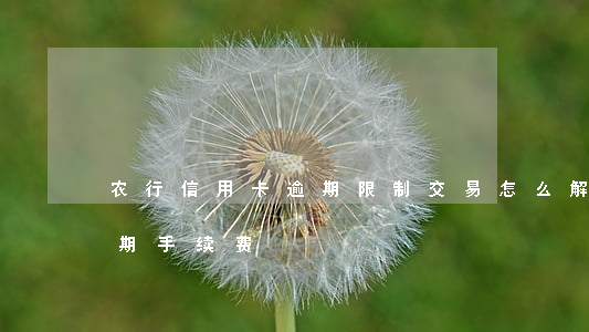 农行信用卡逾期限制交易怎么解决(农行卡逾期手续费)