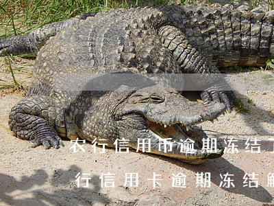 农行信用币逾期冻结了说以后不能再用了（农行信用卡逾期冻结解冻）