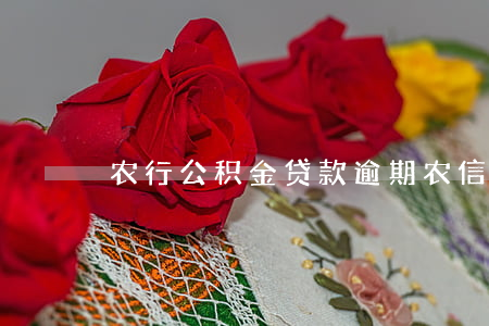 农行公积金贷款逾期(农信逾期房贷)
