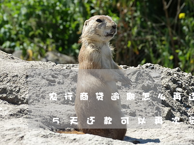 农行商贷逾期怎么再还款(农商银行贷款逾期5天还款可以再次贷款吗)