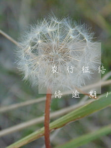 农行征信逾期10次会影响征信吗-农行征信逾期10次会影响征信吗知乎