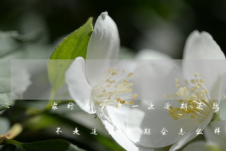 农行房贷有一次逾期还款(农行房贷逾期三次不是连续逾期会怎么样)