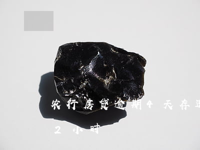 农行房贷逾期4天存进去(农行房贷当天晚存2小时)