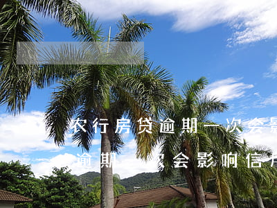 农行房贷逾期一次会影响信用卡吗(农行房贷逾期一次会影响信用卡吗)