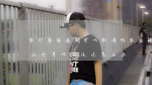 农行房贷逾期可以取消吗(农业银行房贷逾期三个月以上没还怎么办)