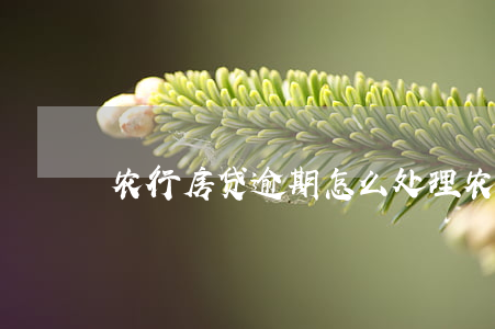 农行房贷逾期怎么处理（农行房贷卡逾期）