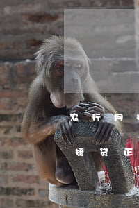 农行网捷贷正常还款后可以再贷吗-农行网捷贷正常还款后可以再贷吗安全吗
