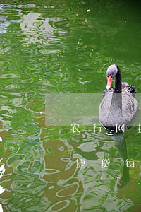 农行网捷贷每月还款是连本带利吗-农行网捷贷每月还款是连本带利吗