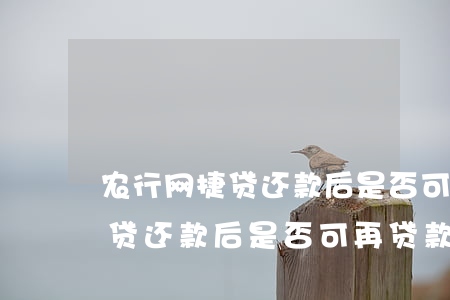 农行网捷贷还款后是否可再贷款-农行网捷贷还款后是否可再贷款呢