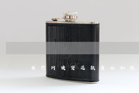 农行网捷贷还款自动扣款是几点-