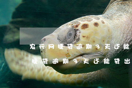 农行网捷贷逾期3天还能贷出来吗-农行网捷贷逾期3天还能贷出来吗知乎