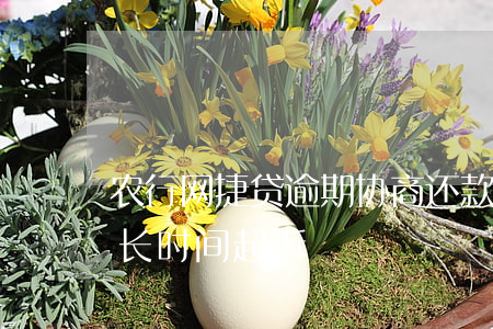 农行网捷贷逾期协商还款(农行网捷贷逾期多长时间起诉)