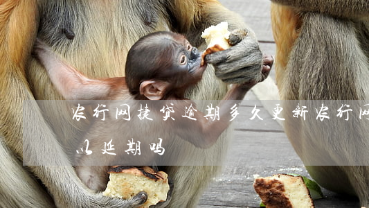 农行网捷贷逾期多久更新(农行网捷贷到期可以延期吗)