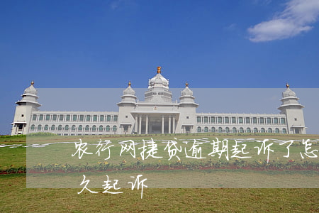 农行网捷贷逾期起诉了怎么办(农行网捷贷多久起诉)