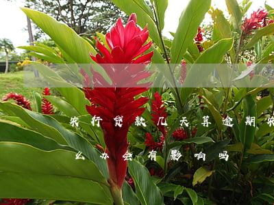 农行贷款几天算逾期(农行贷款逾期几天了怎么办会有影响吗)