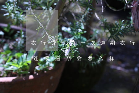 农行贷款有一次逾期(农行房贷逾期三次不是连续逾期会怎么样)