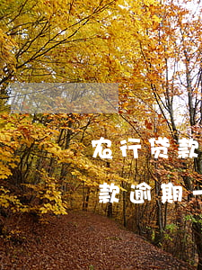 农行贷款逾期一天忘记了影响大吗-农行贷款逾期一天忘记了影响大吗怎么办
