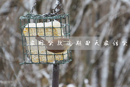 农行贷款逾期四天(农信贷款逾期一天)