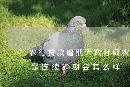 农行贷款逾期天数分级(农行房贷逾期三次不是连续逾期会怎么样)