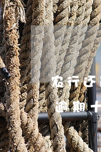 农行还款逾期十天会上黑名单吗-农行还款逾期十天会上黑名单吗怎么办