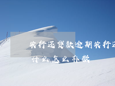 农行还贷款逾期(农行还贷款逾期一天后果是什么,怎么补救)
