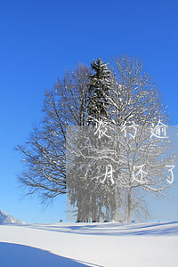 农行逾期三个月卡还能用吗(银行卡逾期三个月还了最低能用吗?)