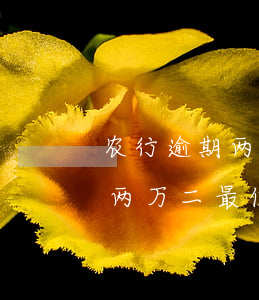 农行逾期两万二最低还款是多少-农行逾期两万二最低还款是多少钱