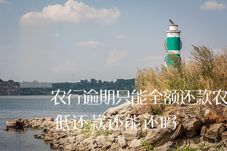 农行逾期只能全额还款(农商银行逾期一天最低还款还能还吗)