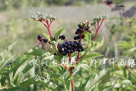 农行逾期将上门律师函(银行上门送律师函怎么办)