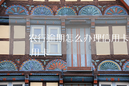 农行逾期怎么办理信用卡-逾期如何办理信用卡