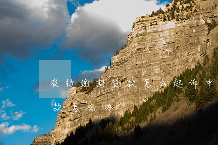农行逾期贷款怎么起诉(中国农业银行逾期贷款怎么办)