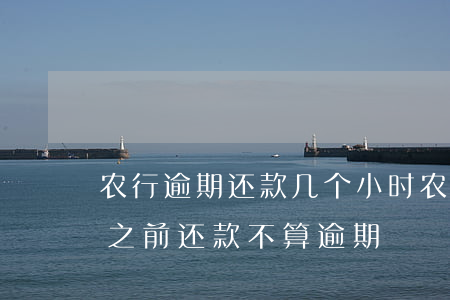 农行逾期还款几个小时(农行还款日当天几点之前还款不算逾期)