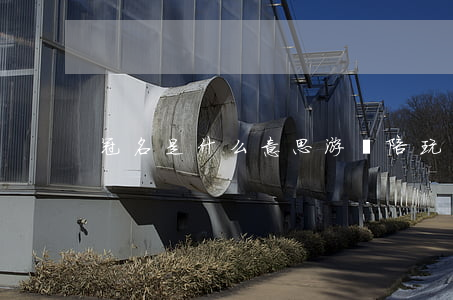 冠名是什么意思(游戲陪玩冠名是什么意思)