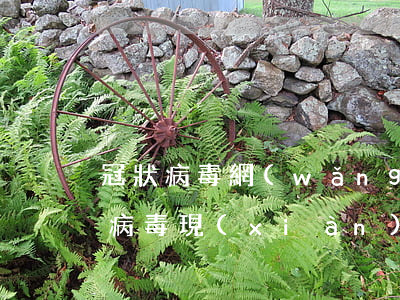 冠狀病毒網(wǎng)貸逾期有事嗎(冠狀病毒現(xiàn)在多嚴(yán)重)