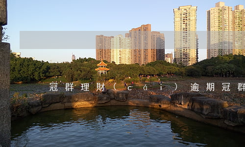 冠群理財(cái)逾期(冠群馳騁最新消息)