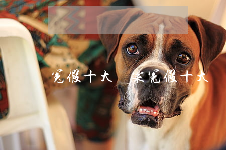 冤假十大錯案(冤假十大錯案)