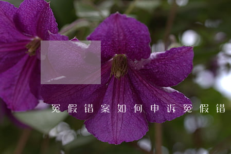 冤假错案如何申诉,冤假错案如何申诉最好 冤假错案如何申诉,冤假错案如何申诉最好