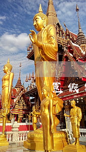 冤假错案律师365在哪里(冤假错案的律师)